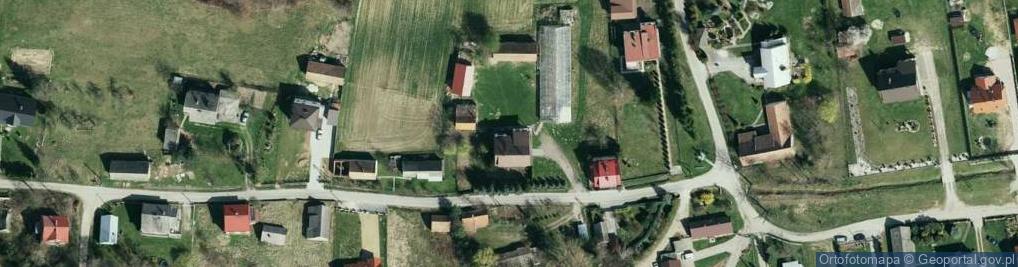 Zdjęcie satelitarne Uprawa Warzyw Stypka Władysław