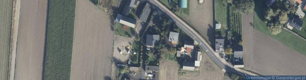 Zdjęcie satelitarne Uprawa Warzyw Tomasz Szenk Bukówiec Górny