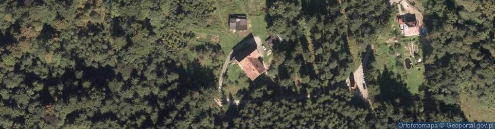 Zdjęcie satelitarne Usł.Leśne V.Jachniak, Trzcińsko