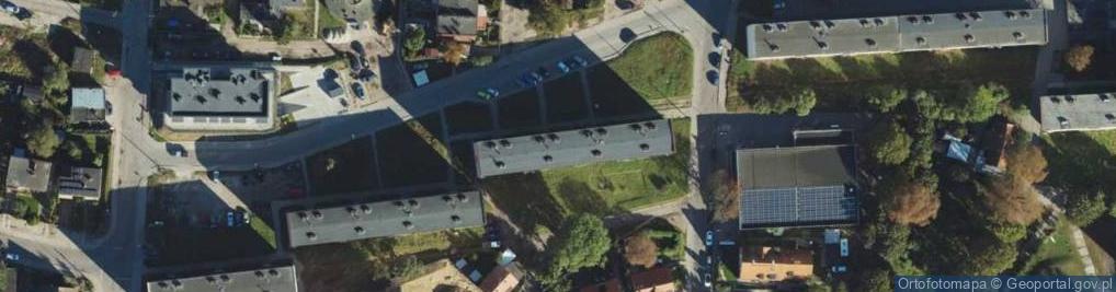 Zdjęcie satelitarne Usługi Informatyczne