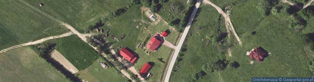 Zdjęcie satelitarne Usługi Leśne Mateusz Siwik