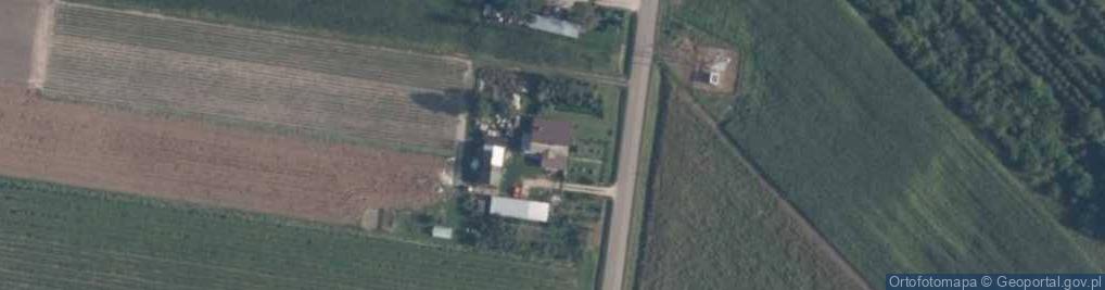 Zdjęcie satelitarne Usługi Transportowe Handel Tarcicą