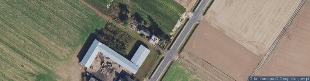 Zdjęcie satelitarne Usługi Transportowe