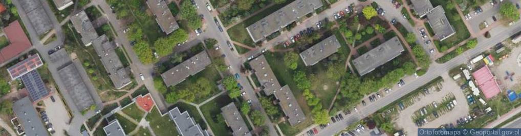 Zdjęcie satelitarne Usługi Transportowe