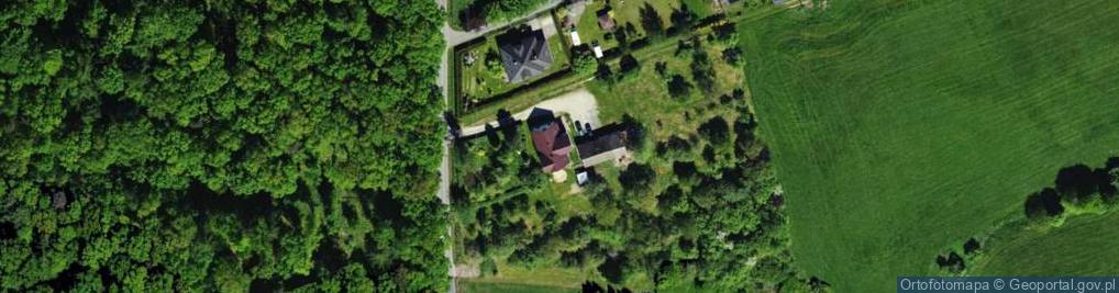 Zdjęcie satelitarne Usługi Transportowe