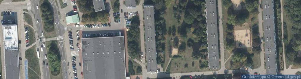 Zdjęcie satelitarne Vicario