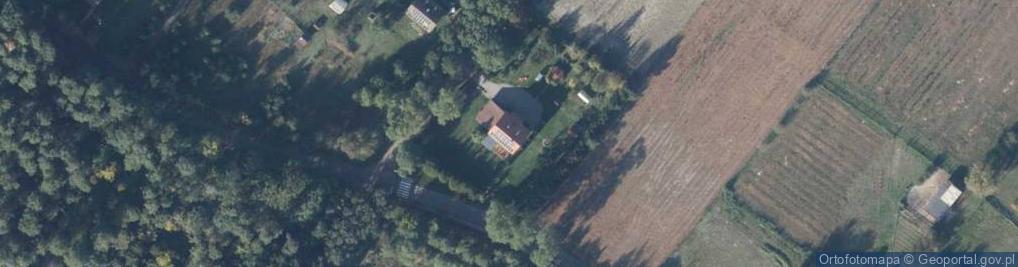 Zdjęcie satelitarne Video-Filmowanie Lisek