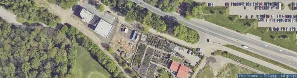 Zdjęcie satelitarne W koronie Martyna Krawczyk