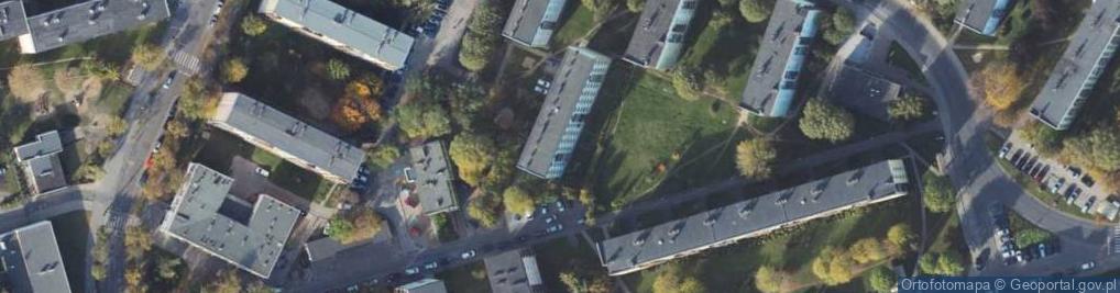 Zdjęcie satelitarne w-Metal