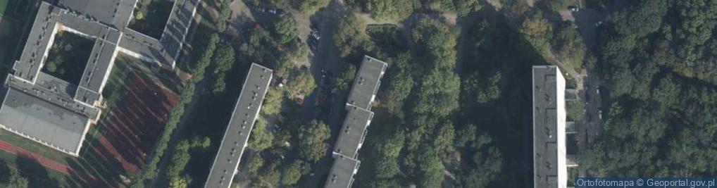 Zdjęcie satelitarne Wajmann Sadowski