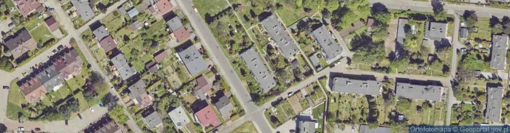 Zdjęcie satelitarne Walery Kleszniew