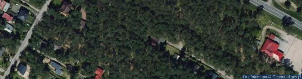 Zdjęcie satelitarne Wasiak