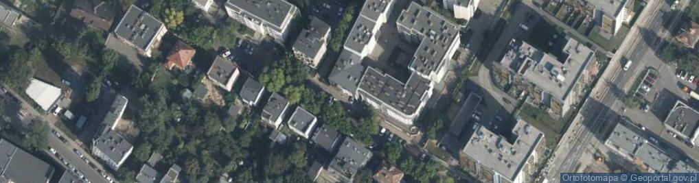 Zdjęcie satelitarne Wasinart Agencja Interaktywna Paweł Wasiński