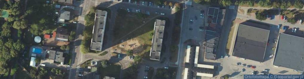 Zdjęcie satelitarne Water Rescue