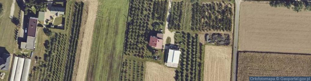 Zdjęcie satelitarne Webdive Interactive Łukasz Szewczyk