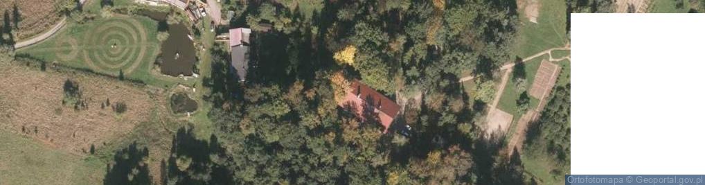 Zdjęcie satelitarne Wieloryb Jolanta Dziedzicka