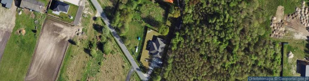 Zdjęcie satelitarne WIKI