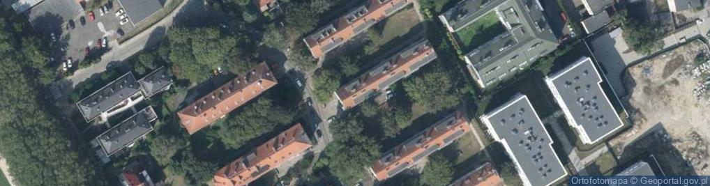 Zdjęcie satelitarne Wild Moose Justyna Walczak Adam Grabowski