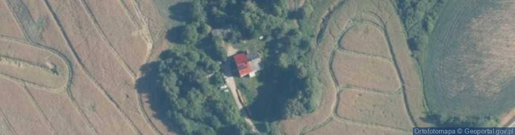 Zdjęcie satelitarne Williams