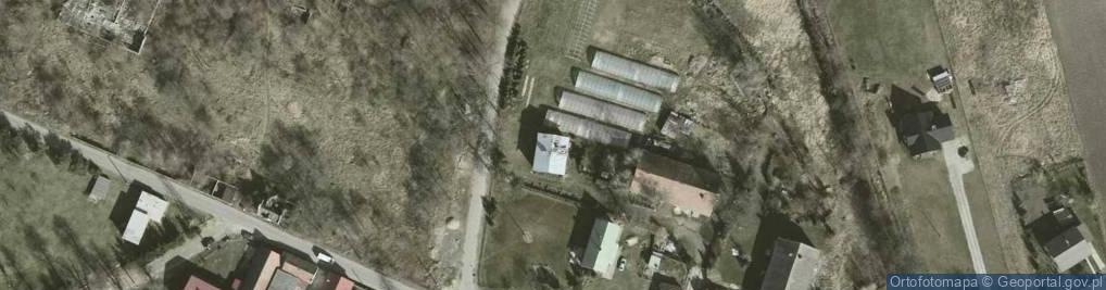 Zdjęcie satelitarne Wioletta Bujakiewicz - Działalność Gospodarcza