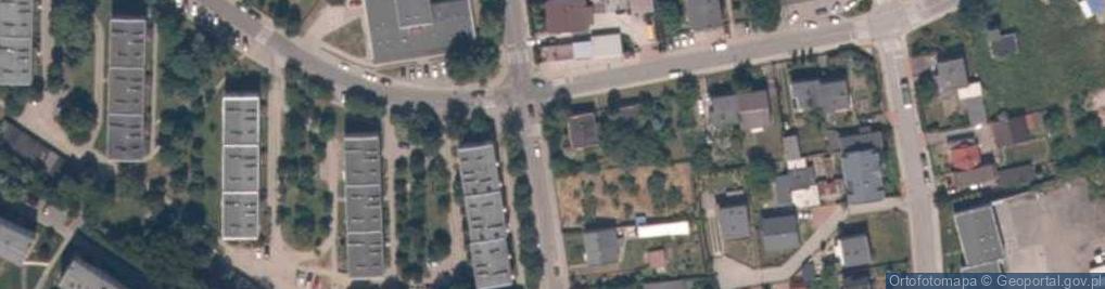 Zdjęcie satelitarne Wioletta Dzika - Działalność Gospodarcza
