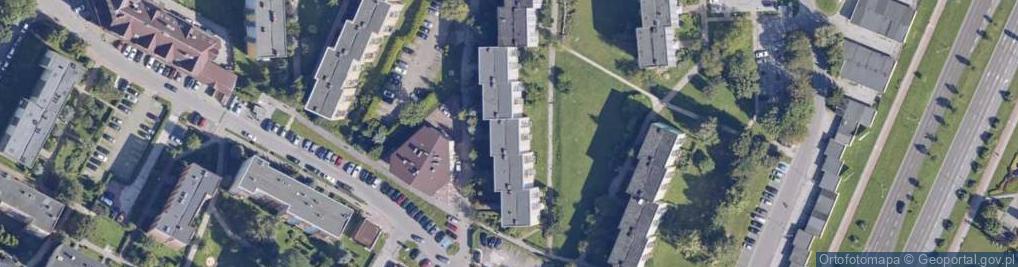 Zdjęcie satelitarne Wirginia Twardzisz - Działalność Gospodarcza