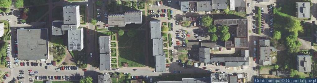 Zdjęcie satelitarne Wiśniewski Mieczysław