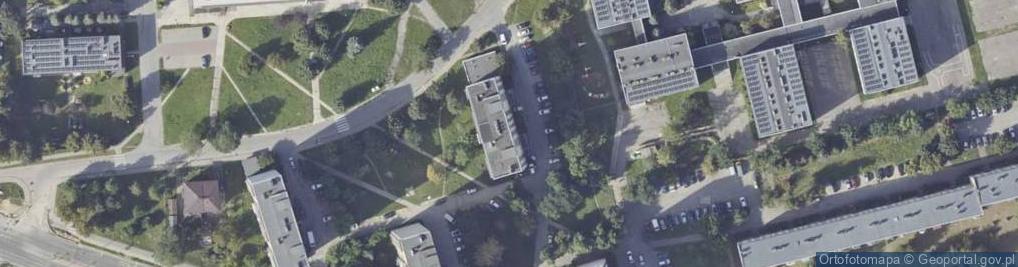 Zdjęcie satelitarne Witkowska Jolanta