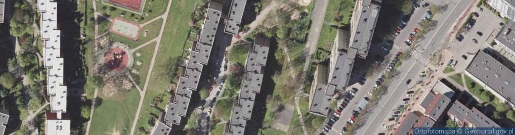 Zdjęcie satelitarne Witold Ciemierz - Działalność Gospodarcza