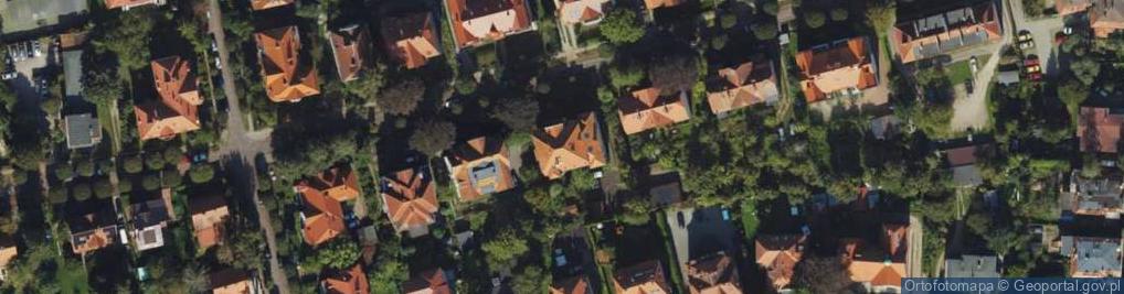 Zdjęcie satelitarne Witold Morzyc - Działalność Gospodarcza