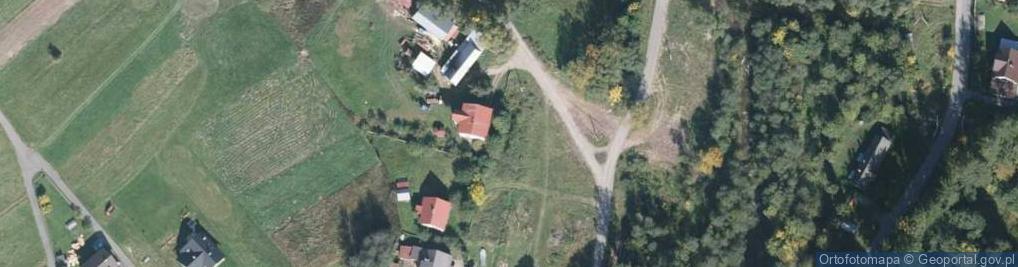 Zdjęcie satelitarne Władysław Tyc Usługi Leśne