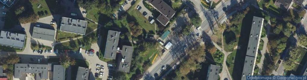 Zdjęcie satelitarne Wola