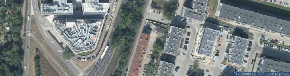 Zdjęcie satelitarne Wood Company Kamila Madej