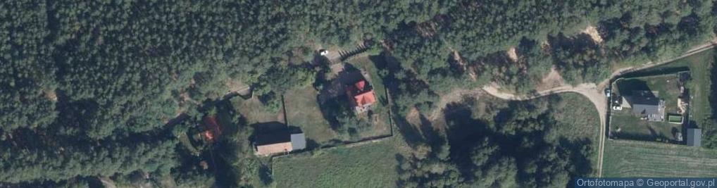 Zdjęcie satelitarne Wróżbiarstwo