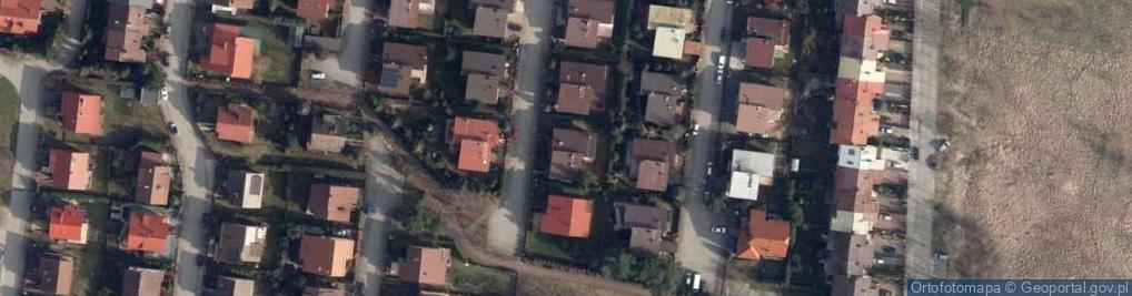 Zdjęcie satelitarne WS Project