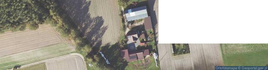 Zdjęcie satelitarne Wykonywanie Konstrukcji i Pokryć Dachowych Na Terenie Kraju Andrzej Bronowicki