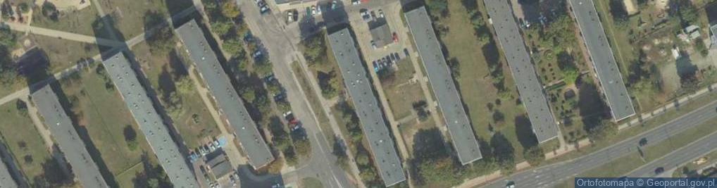 Zdjęcie satelitarne Yoshi - Marcin Baczyński