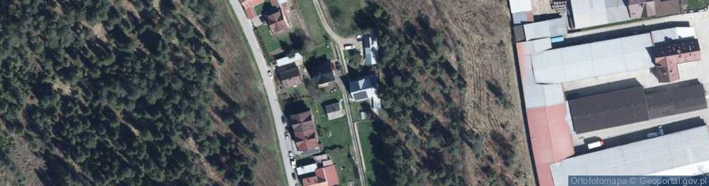 Zdjęcie satelitarne "Z Zadymy" - owczarki podhalańskie