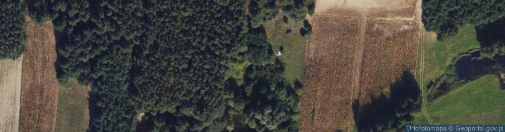 Zdjęcie satelitarne Zakład Produkcji Usług i Handlu