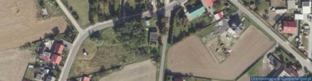Zdjęcie satelitarne Zakład Produkcyjno Handlowy Import Export Daleszyn