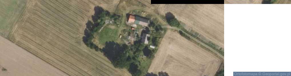 Zdjęcie satelitarne Zakład Usług Leśnych S Snochowski