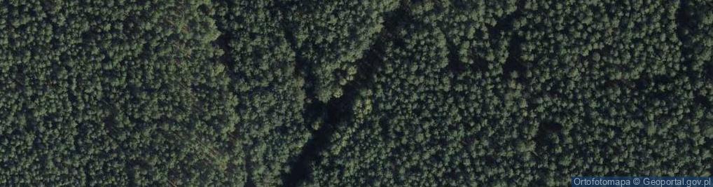 Zdjęcie satelitarne Zakład Usług Leśnych