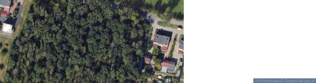 Zdjęcie satelitarne Zakład Usług Leśnych