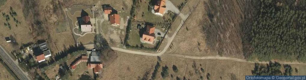 Zdjęcie satelitarne Zasański Ireneusz Iziconsulting