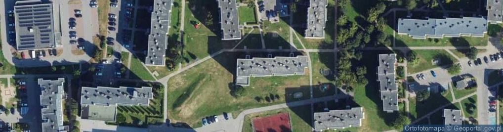 Zdjęcie satelitarne Zenon Łobos - Działalność Gospodarcza