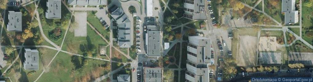 Zdjęcie satelitarne Zieleniak U Reni
