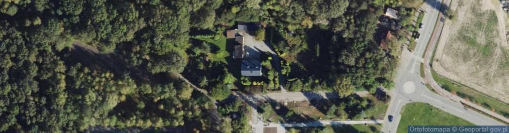 Zdjęcie satelitarne Zorex