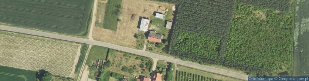 Zdjęcie satelitarne Zrywka Drewna w Lesie