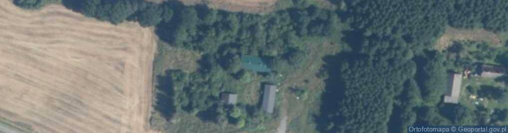 Zdjęcie satelitarne Zrywka Drewna