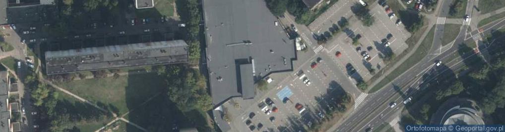 Zdjęcie satelitarne Żyrafa Matylda Marta Olszewska Karolina Olejniczak